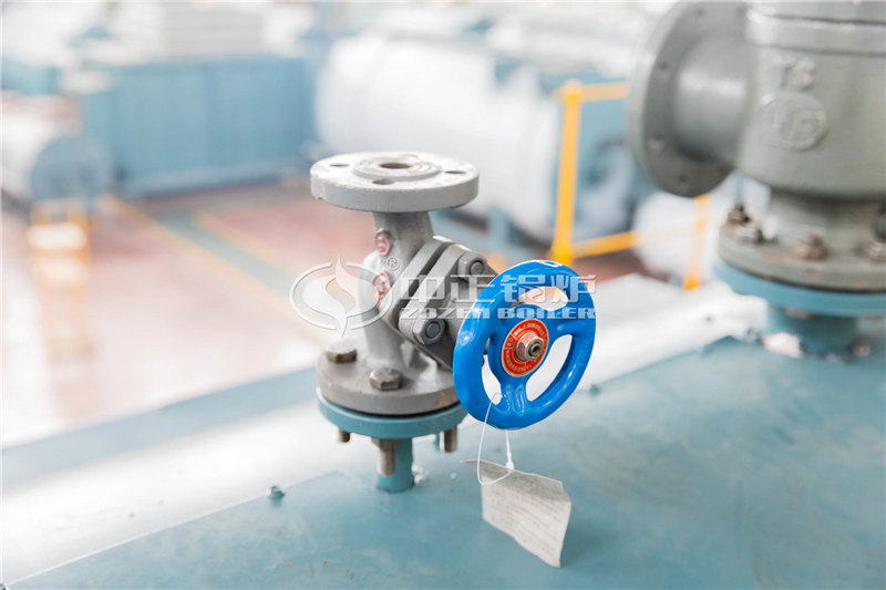 20T燃生物質(zhì)導熱油爐費用