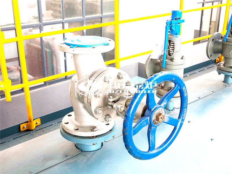 6T燃油導(dǎo)熱油爐多少萬(wàn)元買(mǎi)到