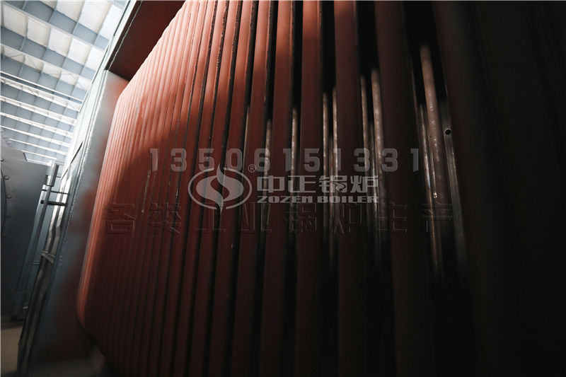 江蘇生物質(zhì)導(dǎo)熱油鍋爐供應(yīng) 導(dǎo)熱油鍋爐誰(shuí)家性能好,價(jià)格合理?